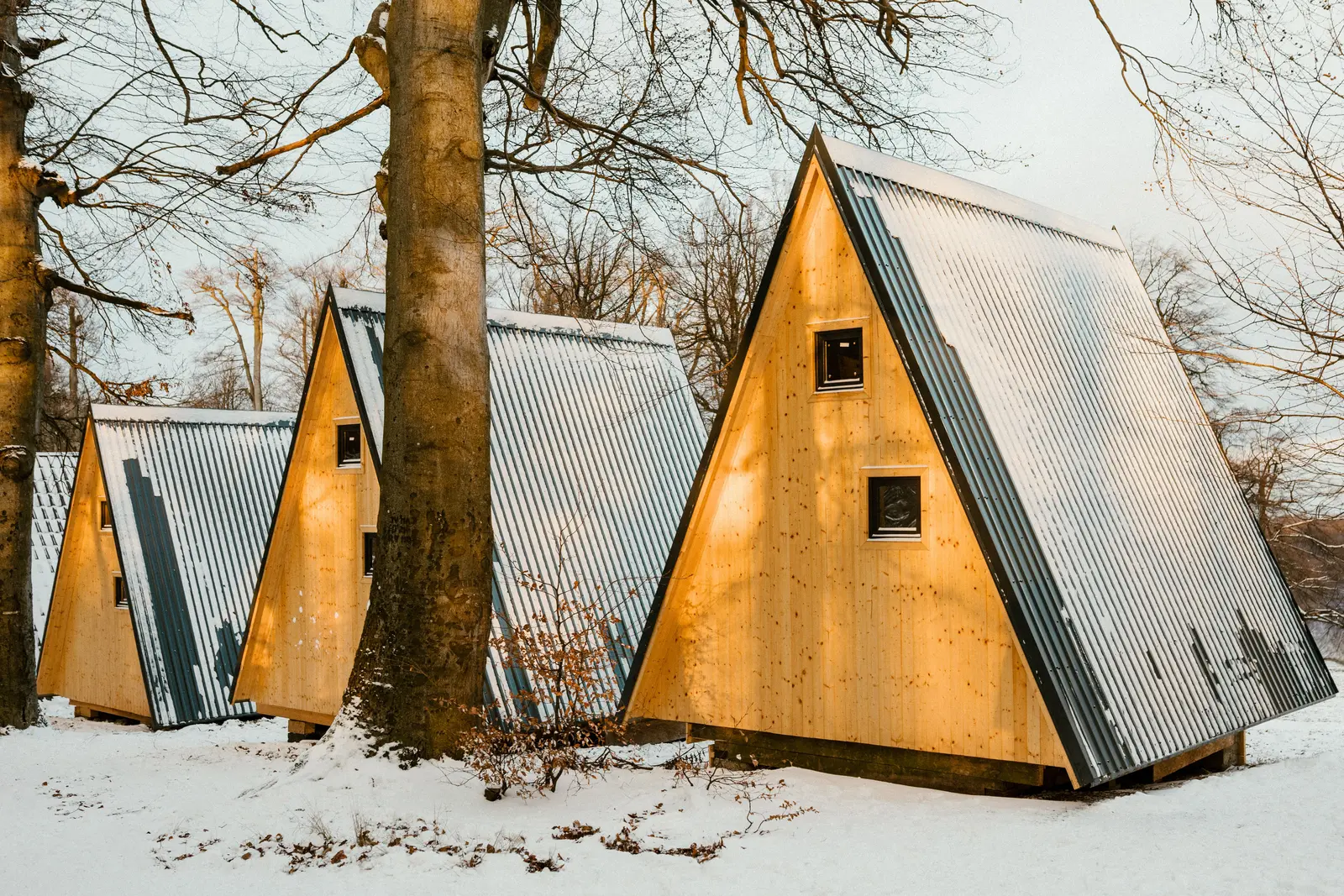 cabin: пример формата